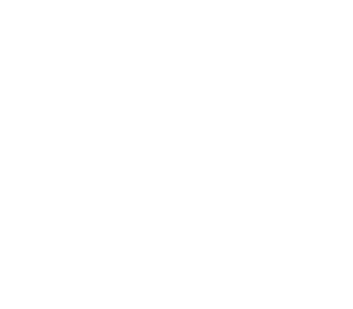 Fink