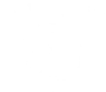 Fink
